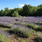 La Buisse