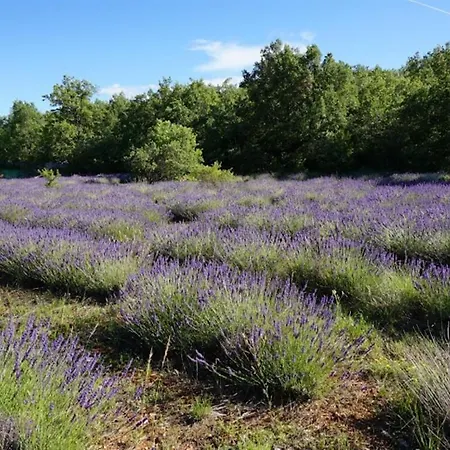 La Buisse Simiane-la-Rotonde