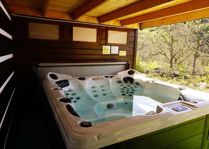 게스트하우스 La Buisse 4*